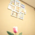 Apartament Vatican Canal 9-11 *