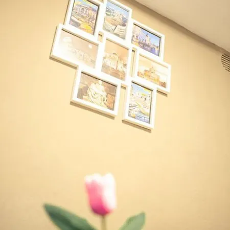 Appartement Vatican Canal 9-11 *